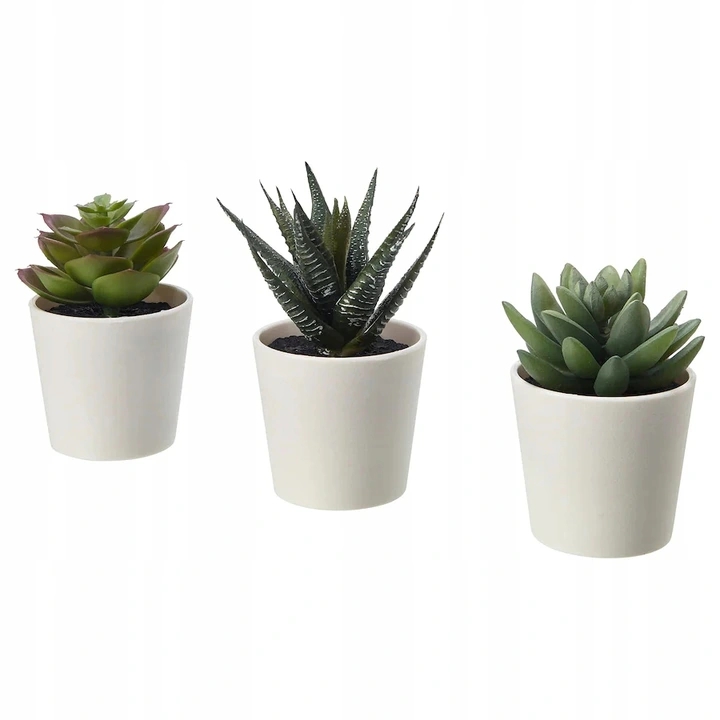 

Ikea Fejka Sztuczna roślina sukulent 3szt doniczka