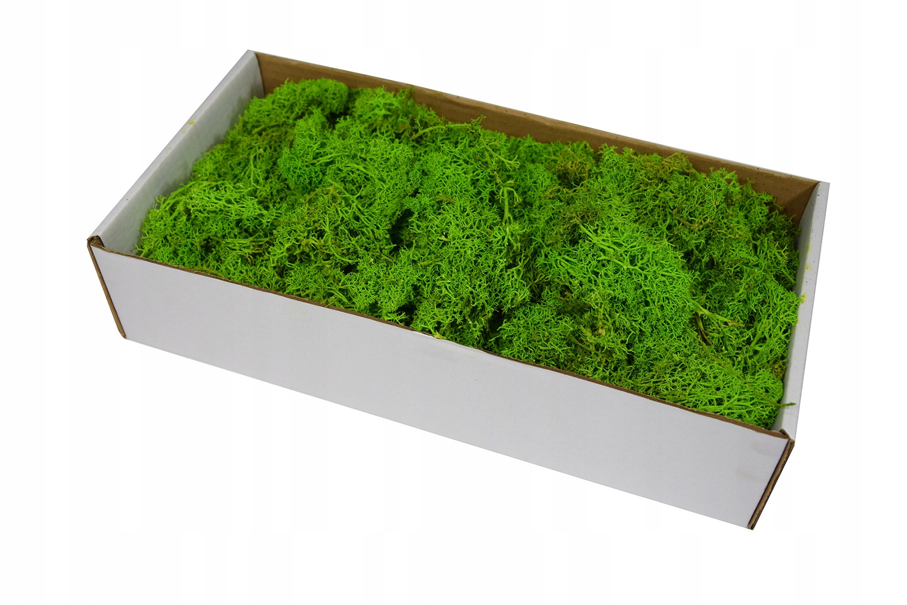 

Mech chrobotek reniferowy jasnozielony, 300 g