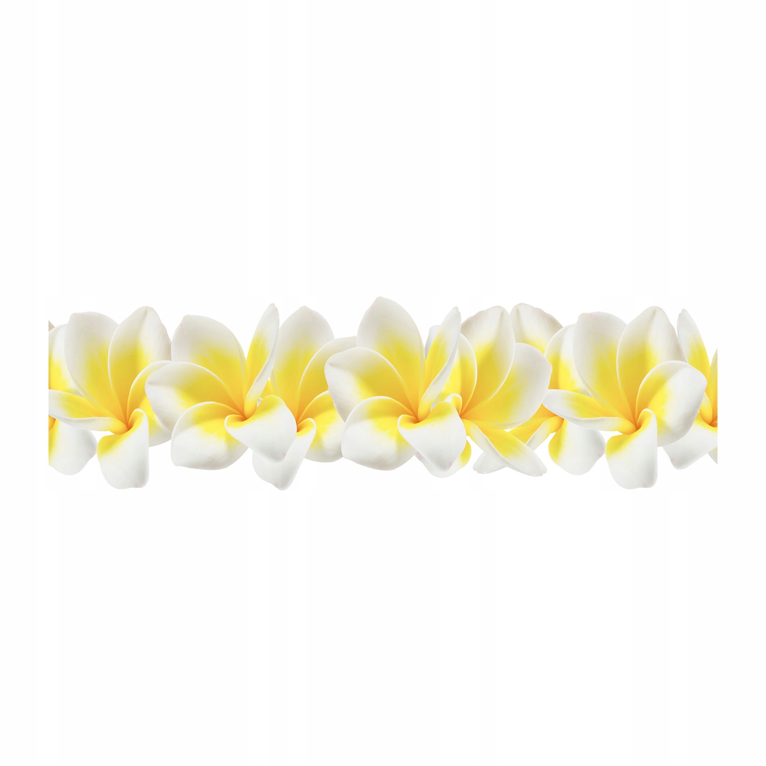 

Foto obraz duży akryl nowoczesny Plumeria 120X60cm