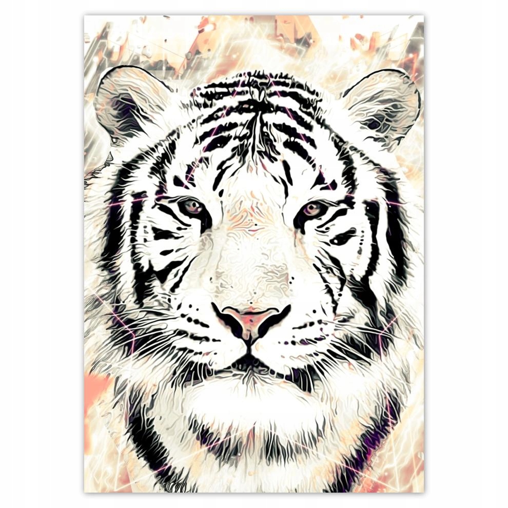 

Plakaty 50x70 Głowa tygrysa