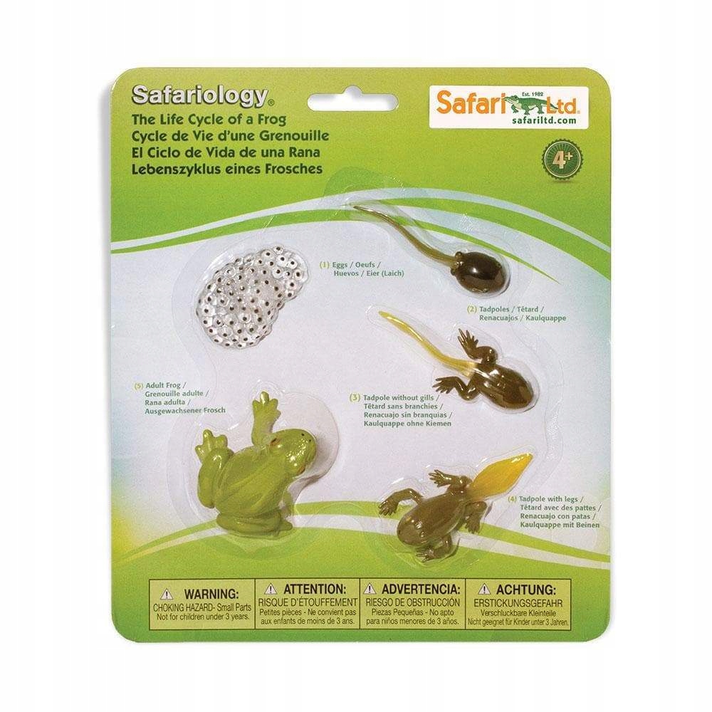 

Figurki Cykl Życia Żaby Safari Ltd. 269129