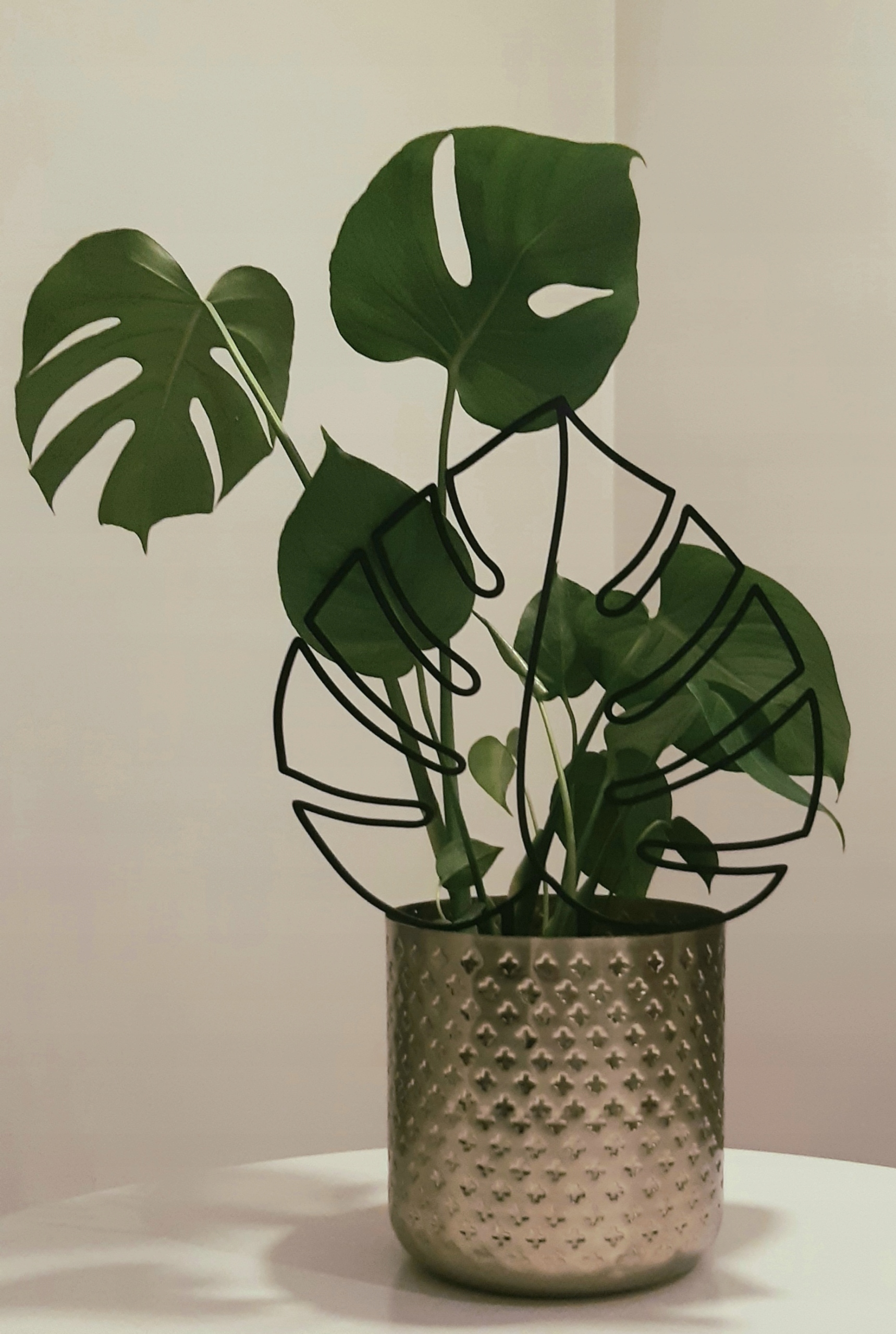 2 X PODPÓRKA OZDOBA KWIATÓW ROŚLIN MONSTERA L i M Marka AA