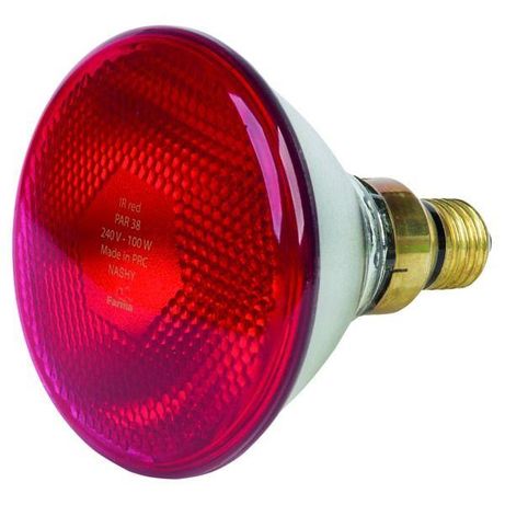 

Żarówka Promiennik Kwoka 100W Czerwona PAR38