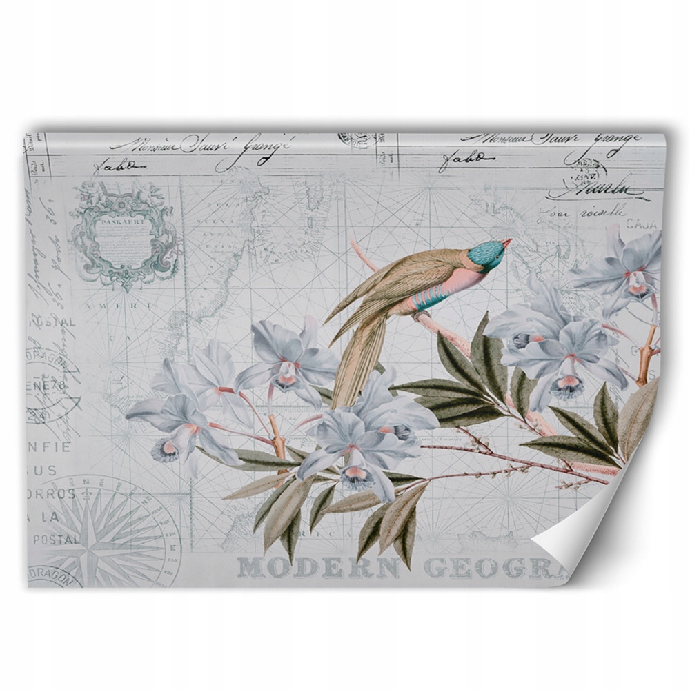 

Fototapeta Ptaki Natura Salon Klej Gratis 250x166