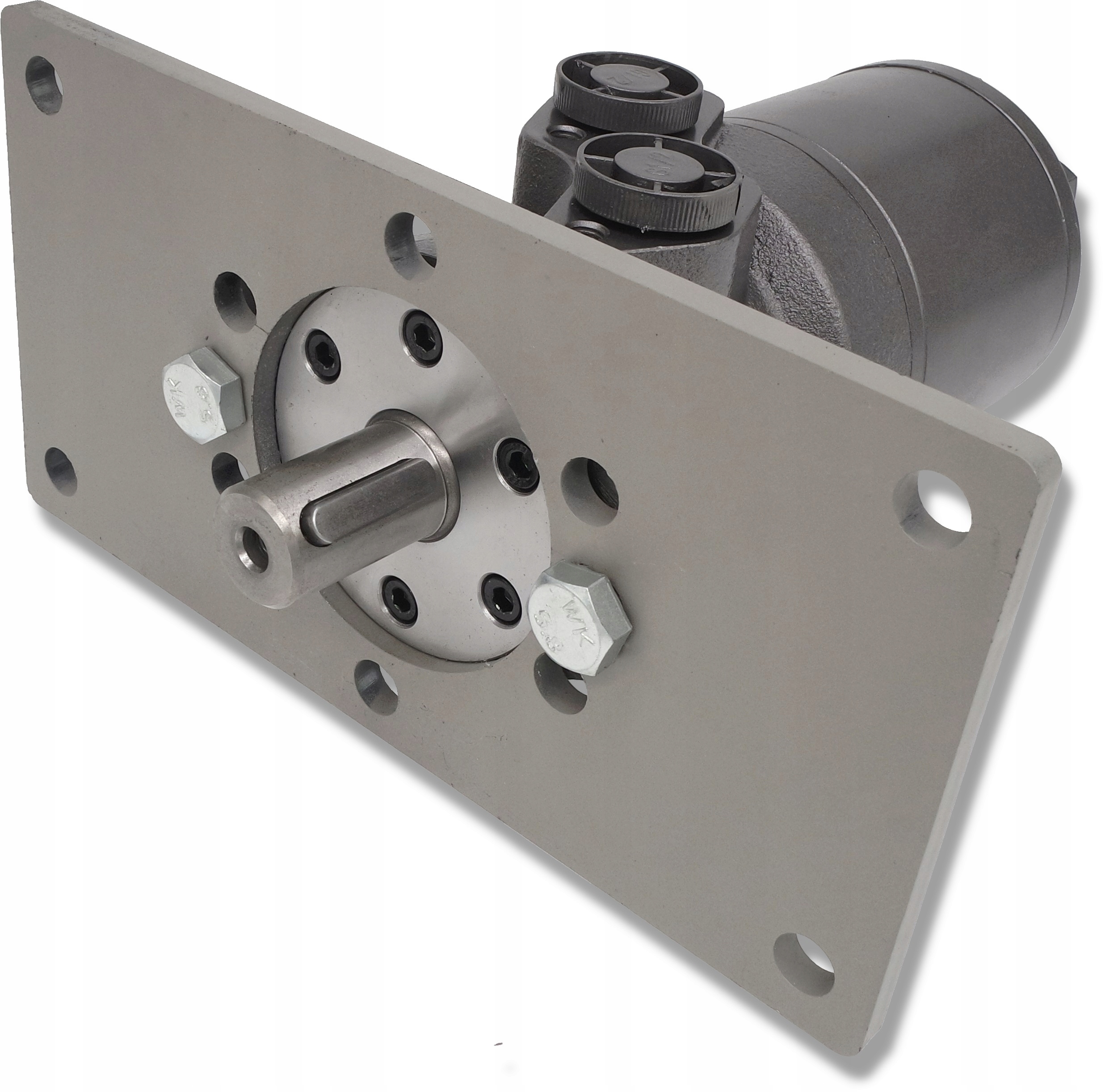 DMR-315-25X-S2-S834 - Гідравлічний двигун 315cm3 GR2 фланець кріплення