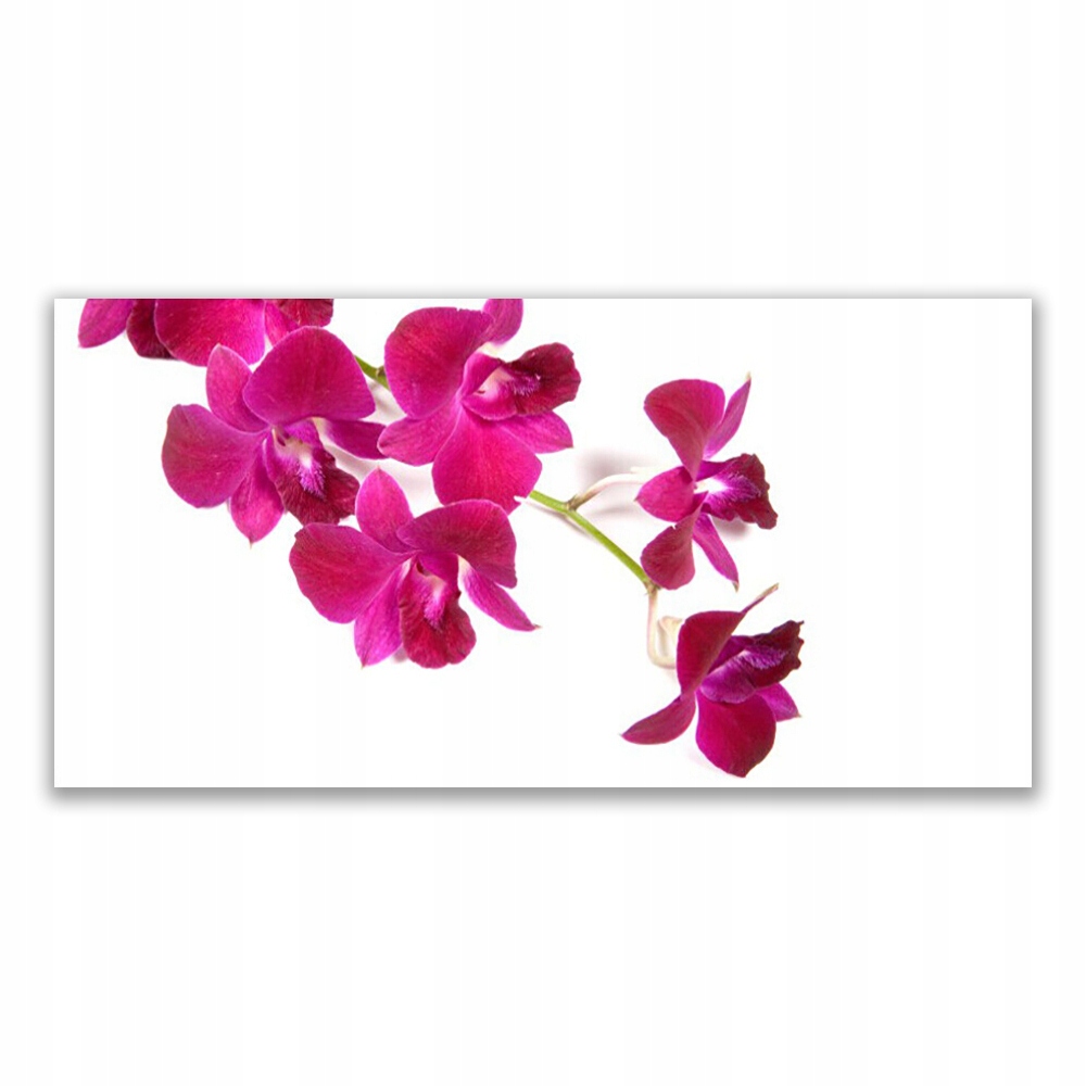 

Fotoobraz nowoczesny 140x70 Kwiaty Roślina Natura