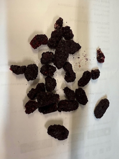 Levně Moruše – černý lyofilizovaný plod 1 kg Rafex