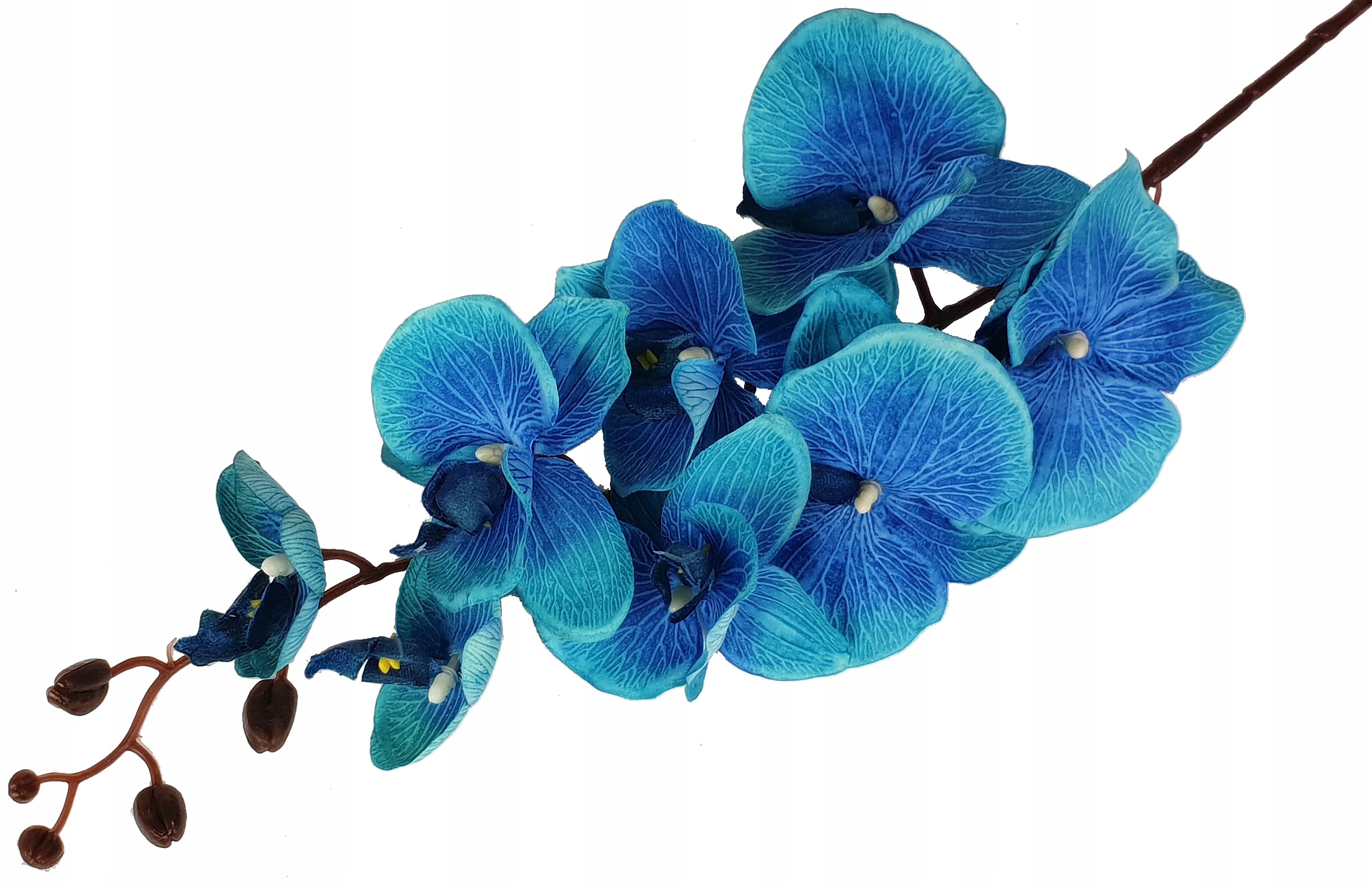 DUŻA GAŁĄZKA STORCZYK 107cm kwiaty ORCHIDEA