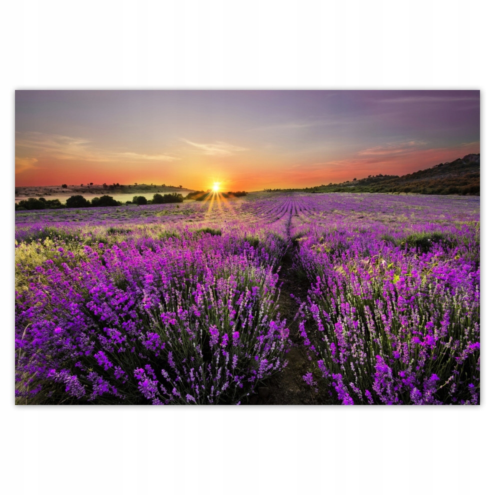 Fototapety flizelina 200x135 Pole levandule Západ
