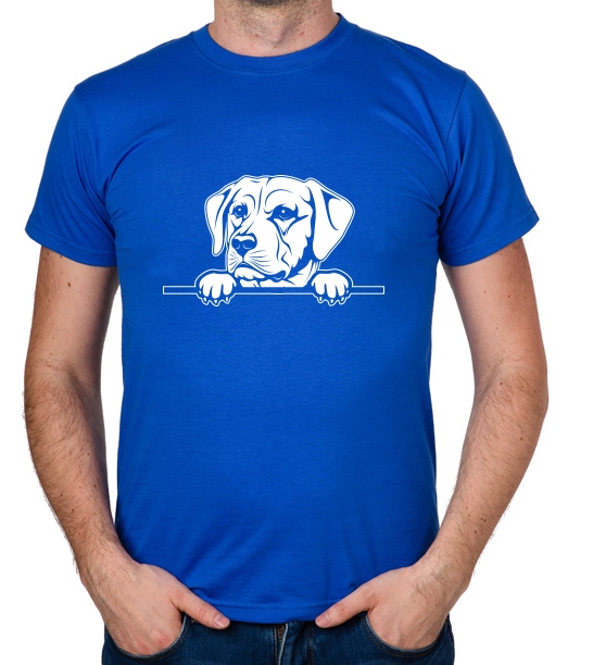 

koszulka Labrador Retriever Pies Dog Piesek