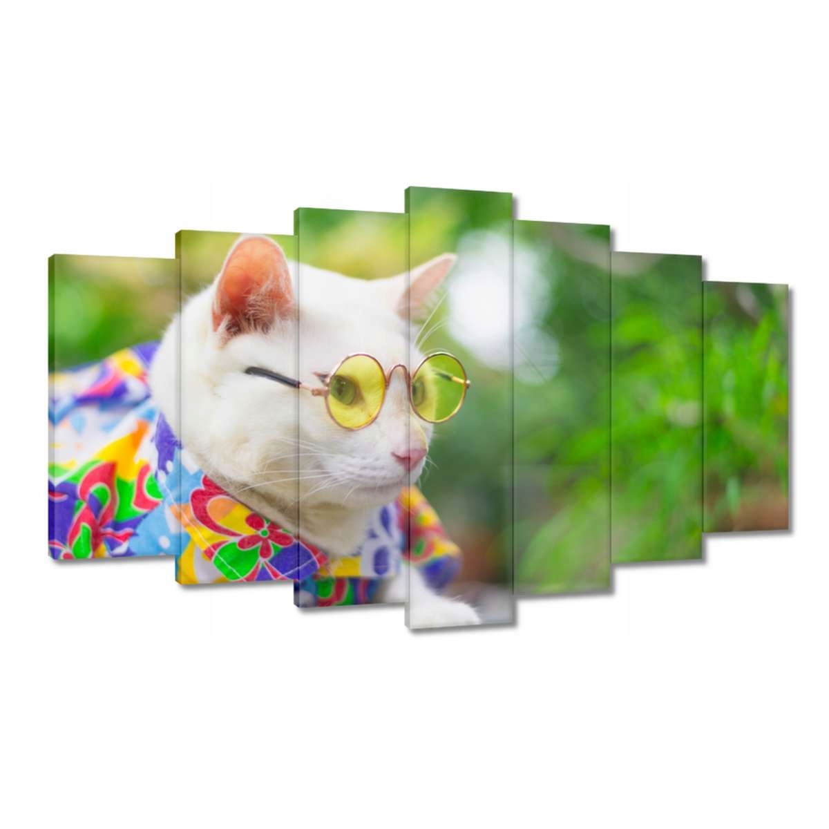 Obrazy 140x80 Kočka Kotě Kočky