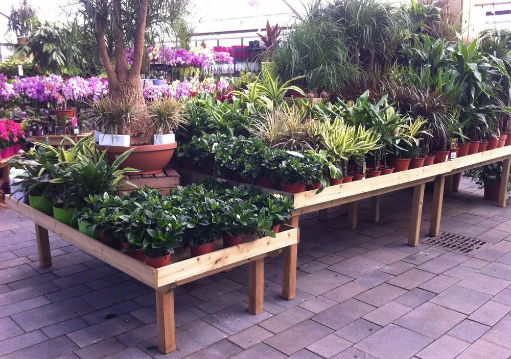 Stół wystawowy ekspozycja pod rośliny drewniany Kod producenta 76-TSM2168R