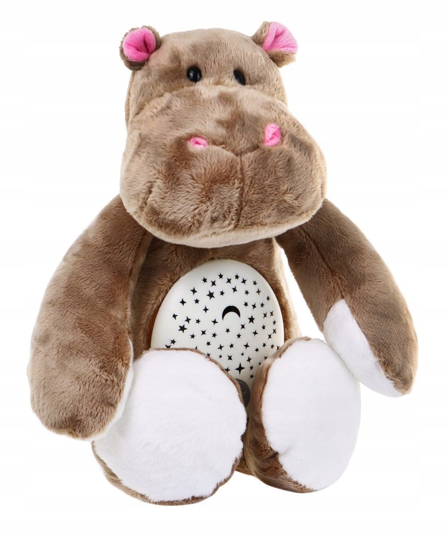 PLUSZOWY HIPCIO PROJEKTOR POZYTYWKA USYPIACZ LAMPK Rodzaj pozytywki