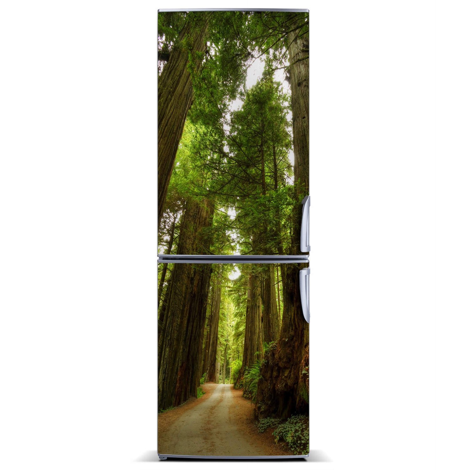 

Magnes Tapeta na lodówkę Ścieżka w lesie 60x180