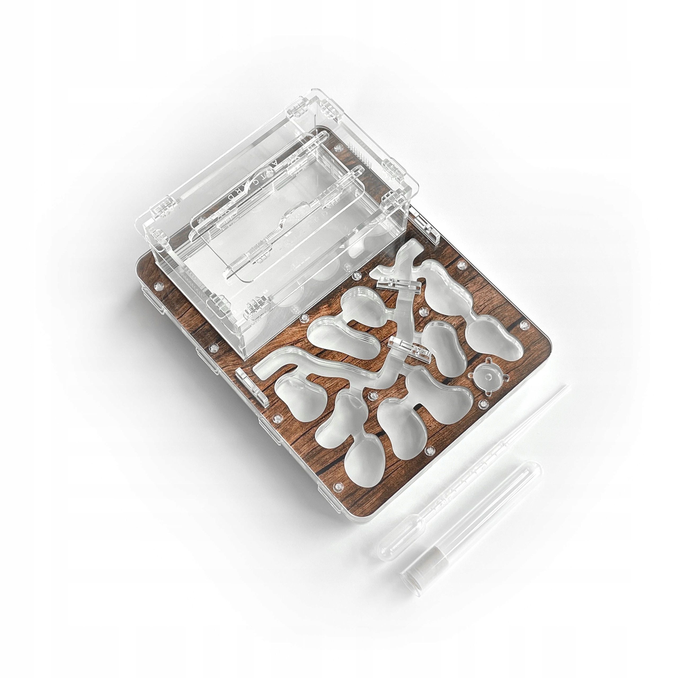 Levně Formikarium s otevřenou sádrou Antgard House – terárium pro mravence