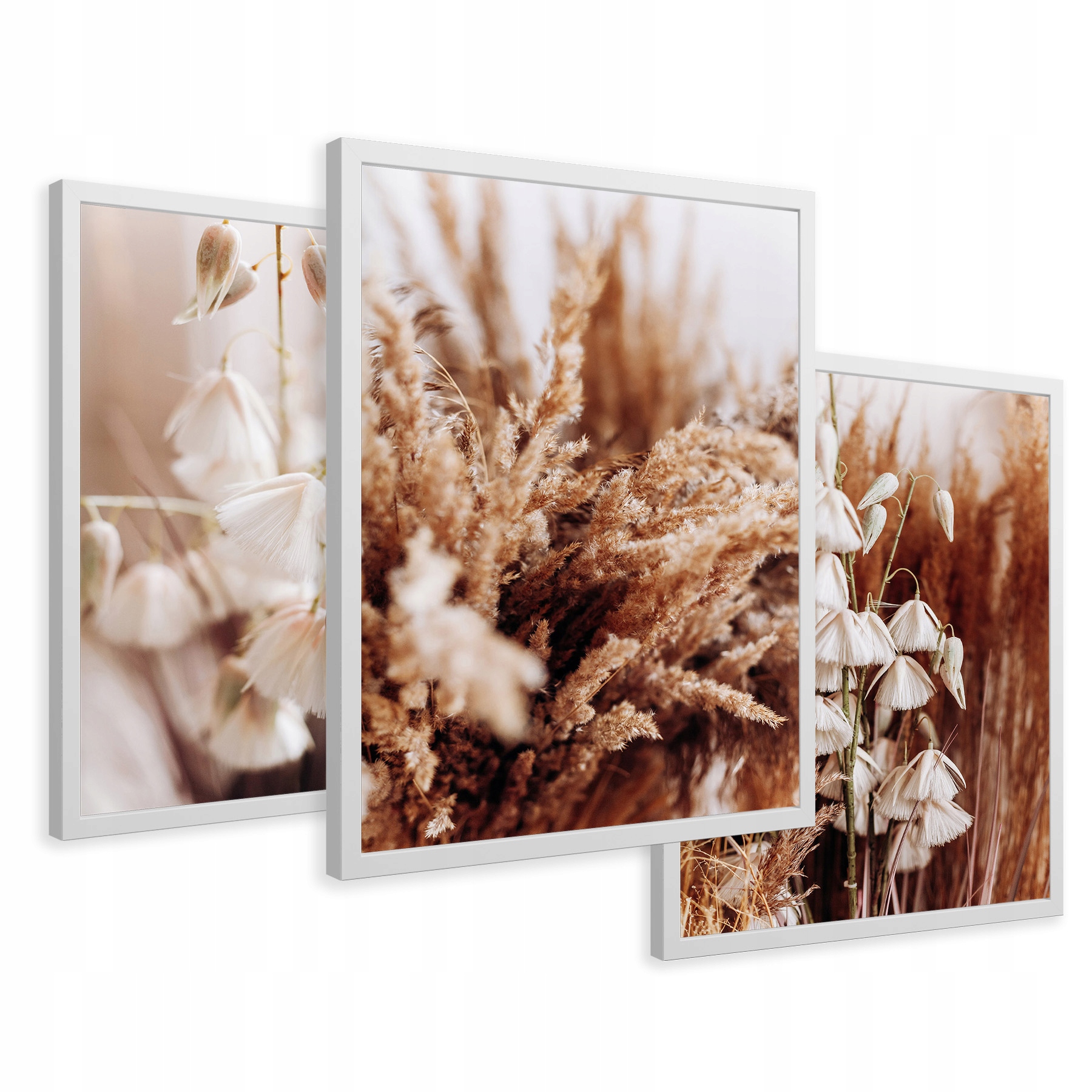 

Obrazy w ramie suche trawy boho kwiaty 43x99