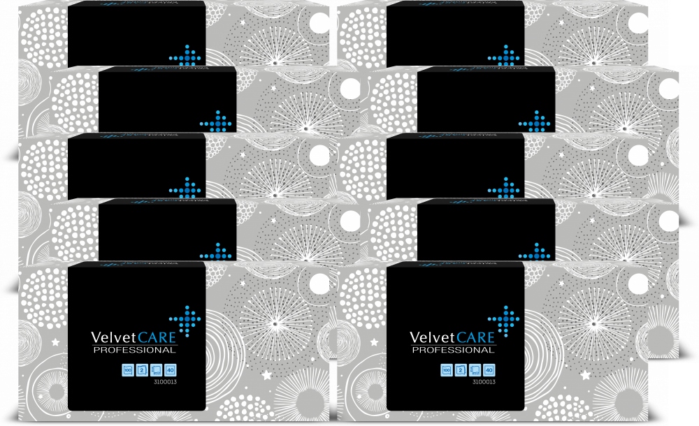 10x Chusteczki higieniczne Velvet kartonik 100szt