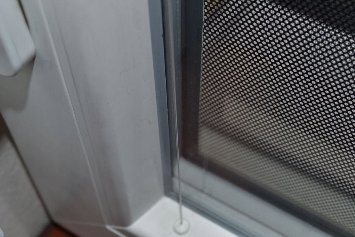 Jack West Silon 10 metrów