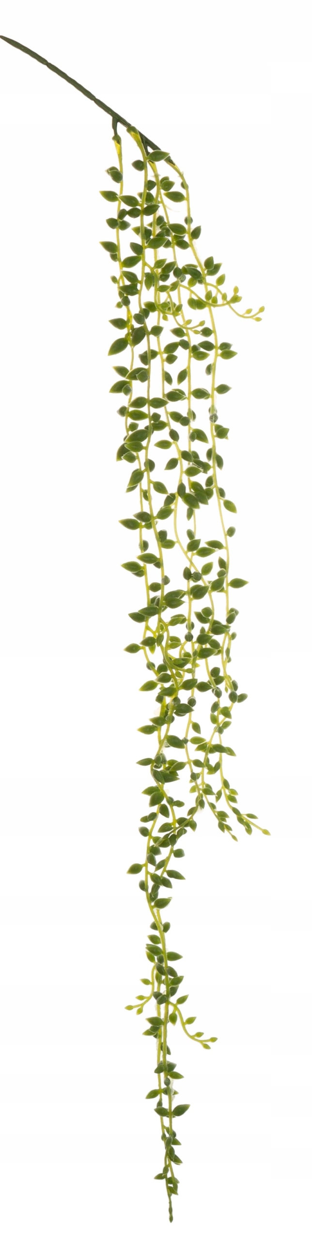 SUKULENT ZWIS STARZEC ROWLEYA KWIATY SZTUCZNE 70 CM