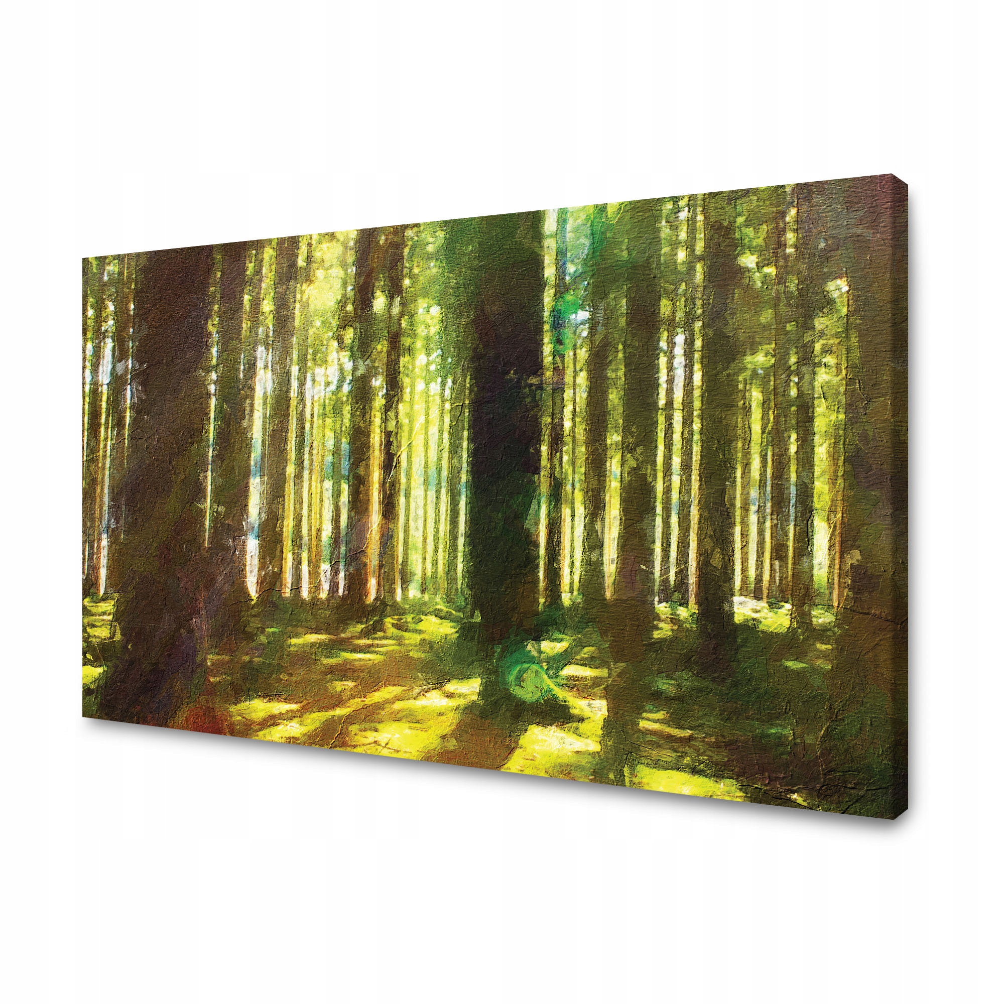 Obraz na plátně Olejový les Stromy Světlo Příroda 90x60 cm