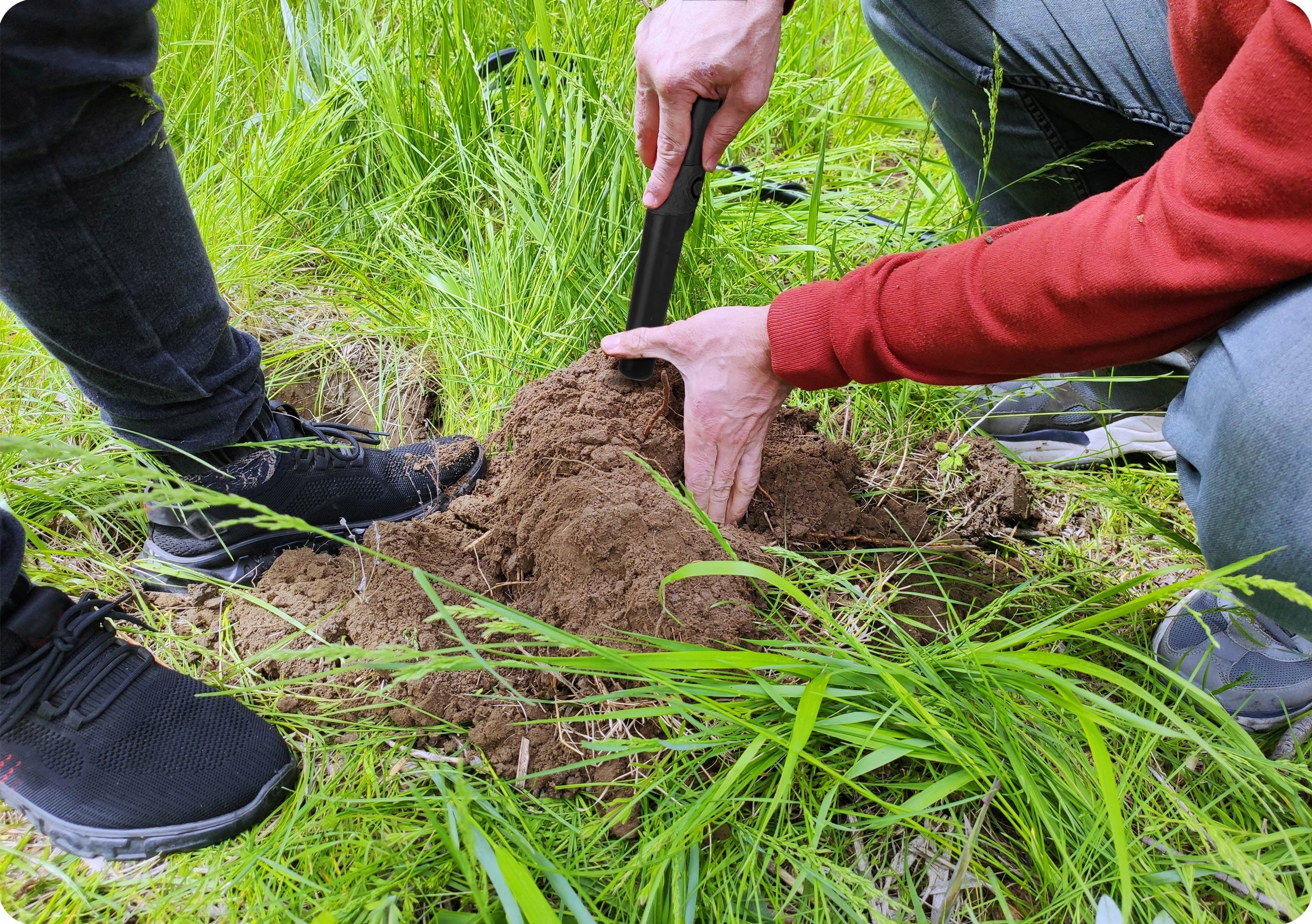 WYKRYWACZ METALI DETEKTOR METALU PINPOINTER COBRA TECTOR Kod producenta 5077