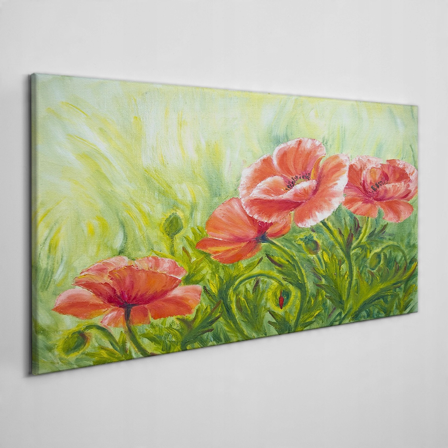 

Foto-obraz na płótnie Kwiaty rośliny maki 120x60
