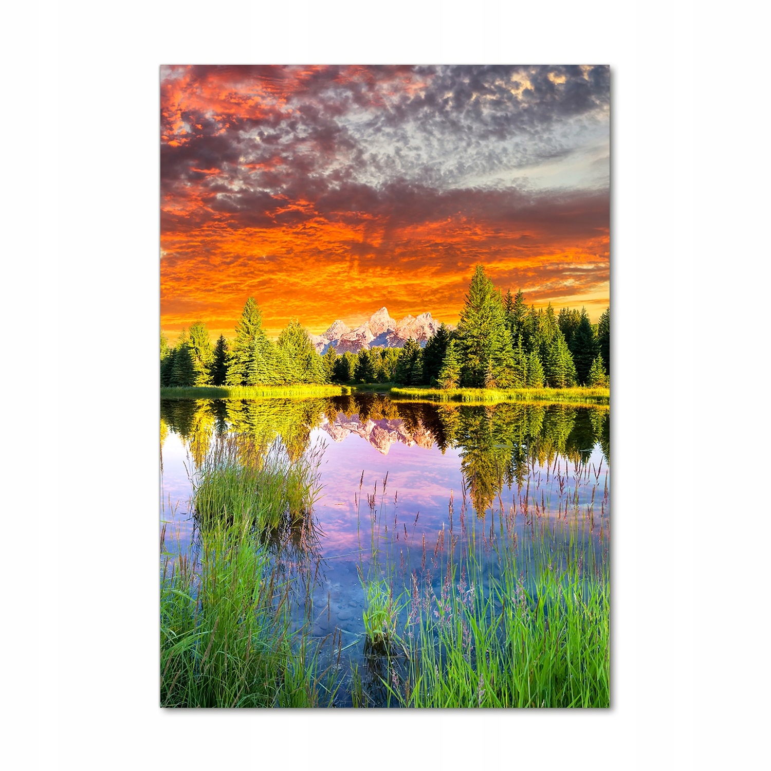 

Foto obraz szkło akrylowe Jezioro w lesie 70x100cm