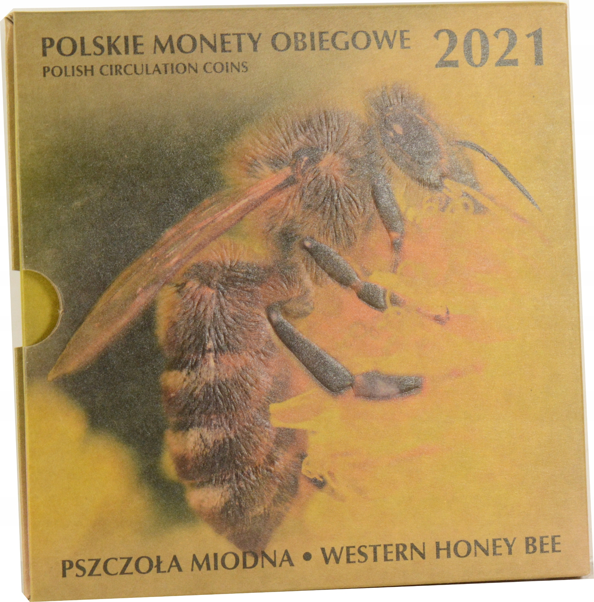 BLISTER POLSKIE MONETY OBIEGOWE 2021 - PSZCZOŁA MIODNA