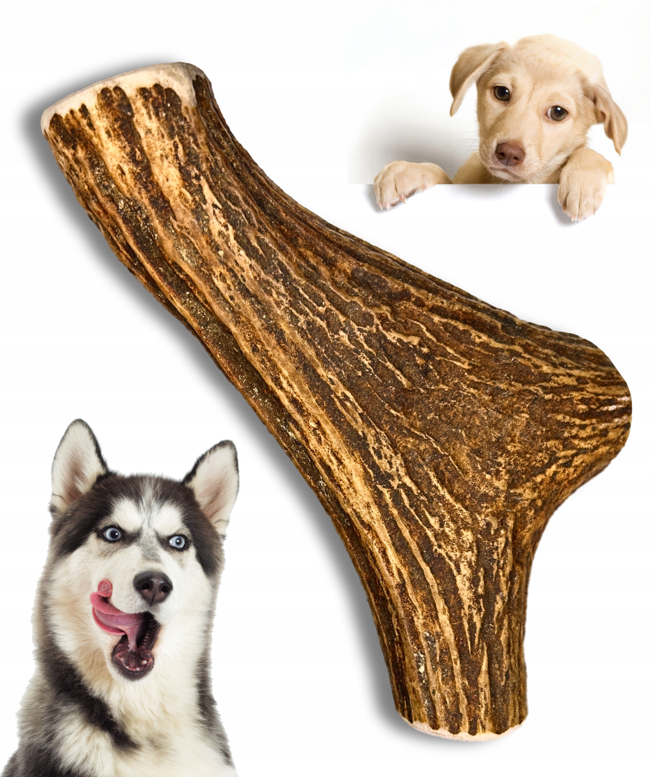 Levně Přírodní kousátko s Losím Parohem XXL Extra tvrdé Pro Psa