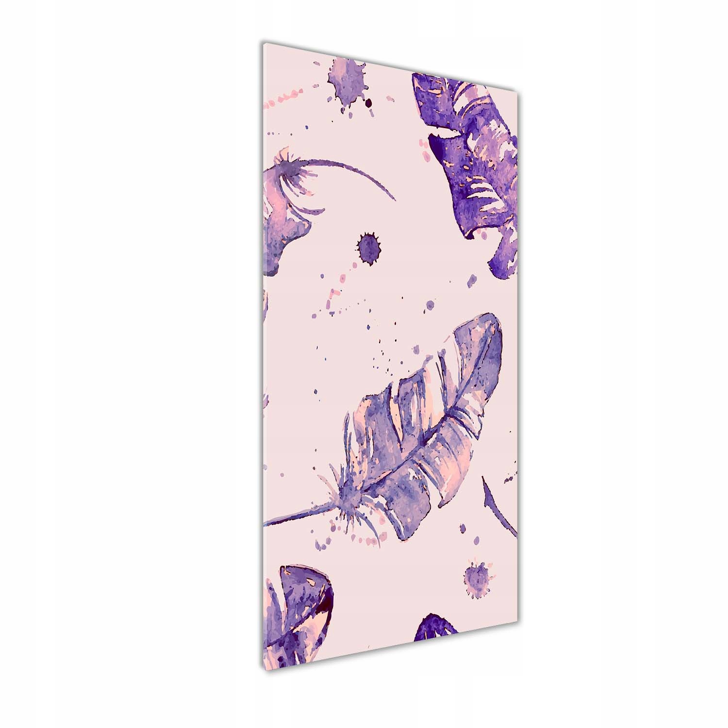 

Fotoobraz szklany na ścianę do salonu Pióra 50x125
