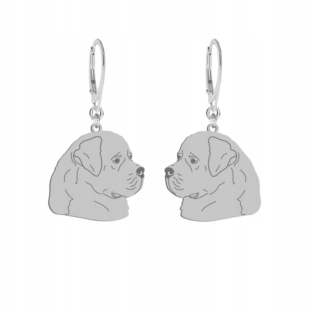 Stříbrné Náušnice se psem Novofundland 925 Šperky jako Dárek Gravírování
