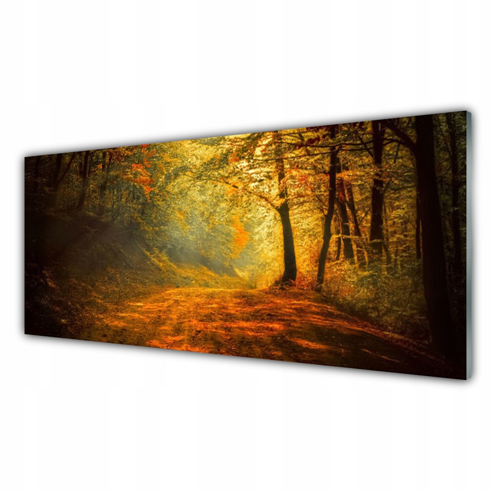

Obraz z grafiką 125x50 Las Dróżka Drzewa Przyroda