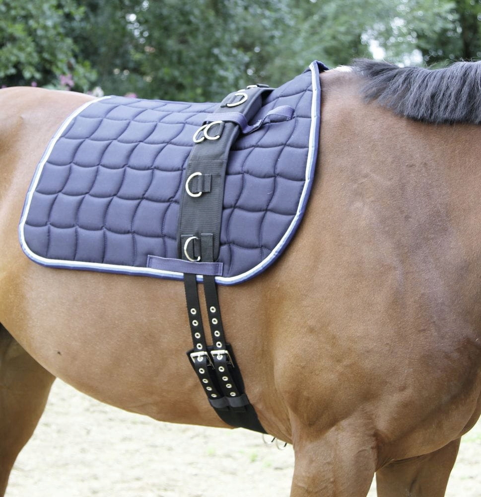 Pas do lonżowania COVALLIERO Standard czarny FULL Marka Covalliero