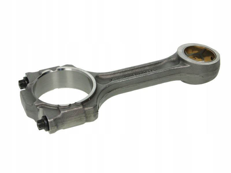 BF 20060208361 KORBOWÓD