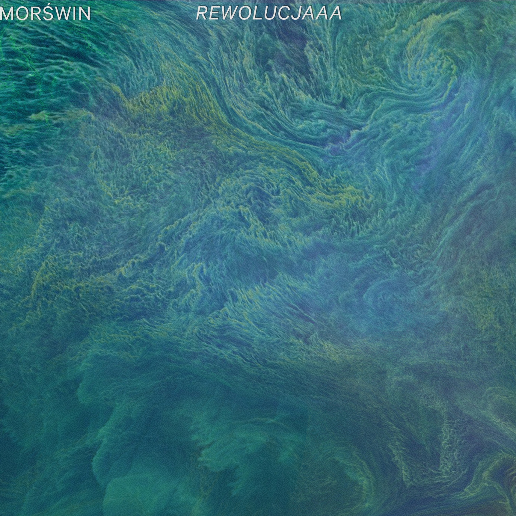 

Lp Morświn Rewolucjaaa Świetlicki