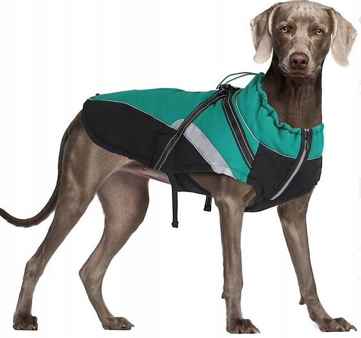 Oblečení Bunda pro psa Voděodolná Teplá vel. L Zelená černá