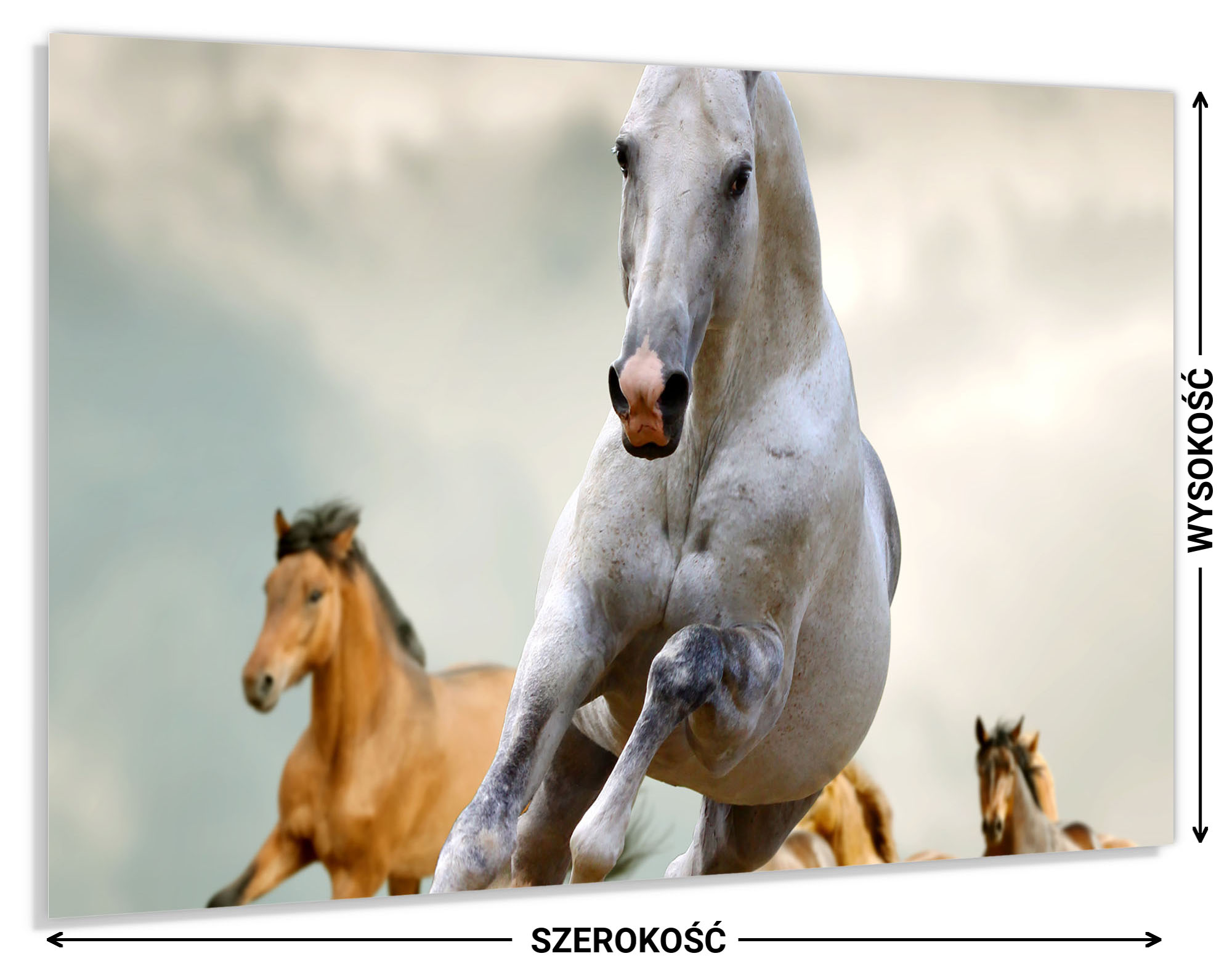 Hartowany Panel do Kuchni 80x60 Gratis Liczba m² w ofercie 0.48 m²