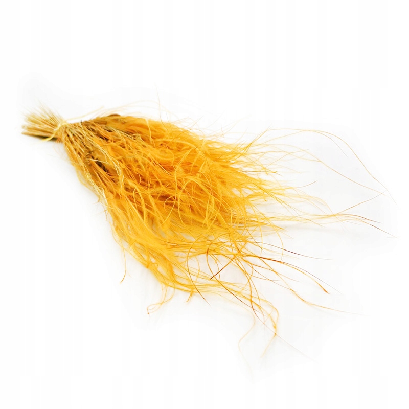 

Ostnica imbirowa Stipa pennata trawa susz boho