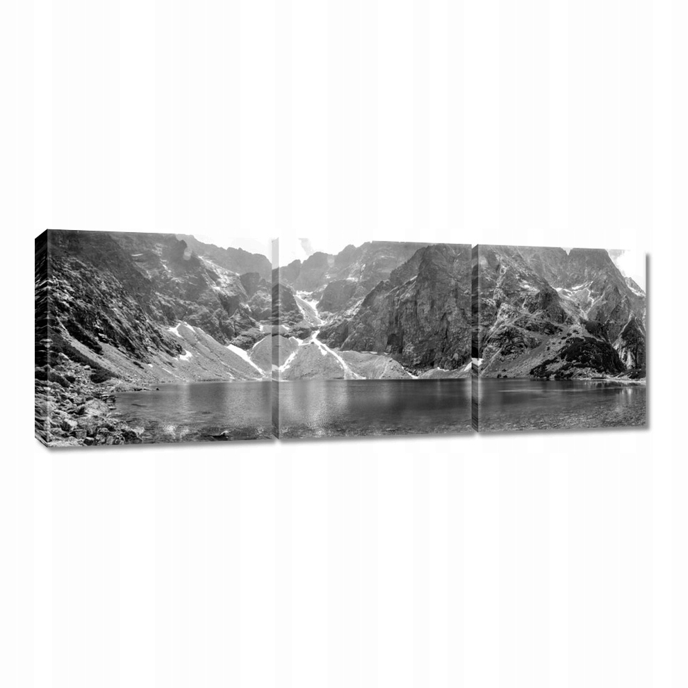 

Obrazy 60x20 Tatry