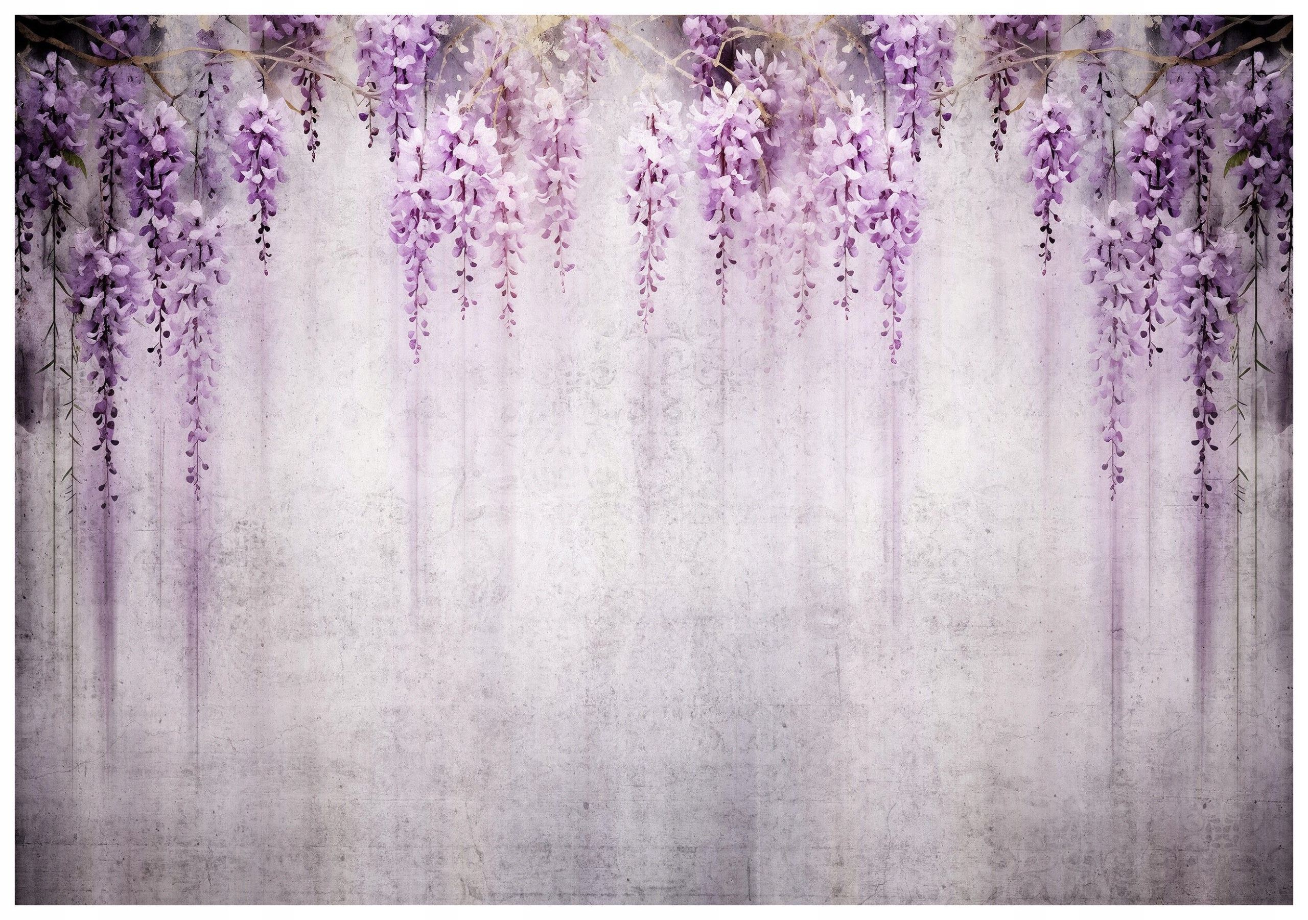 Fototapeta Glycynia Kvety Fialovo-biele Elegancia 350x250 lepidlo