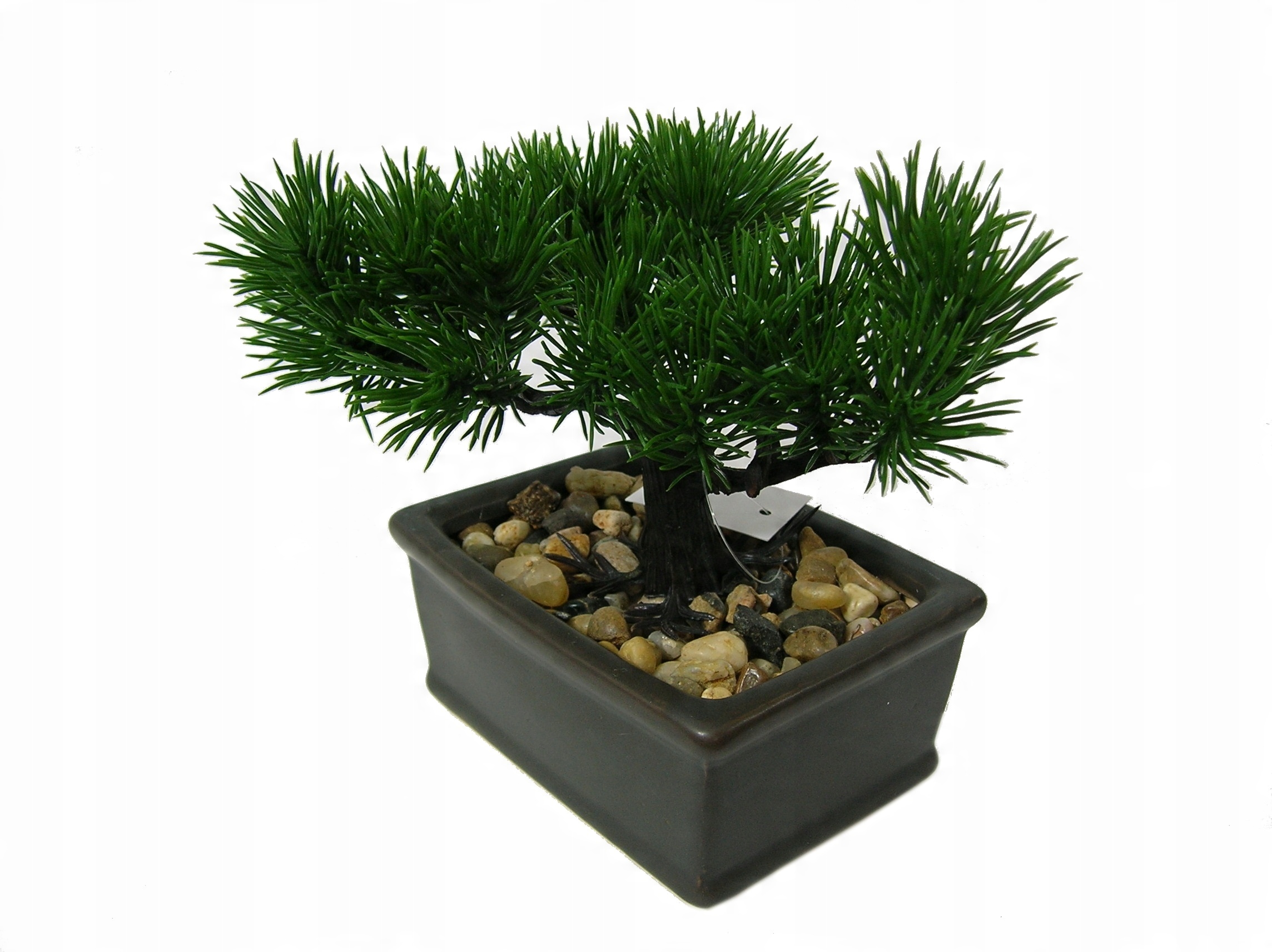 

Drzewko Bonsai W Doniczce Ceramicznej Wzór A