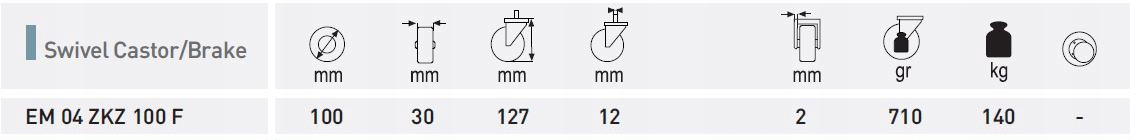 Koło obrotowe 100mm/140kg z otworem/hamulec Kolor srebrny