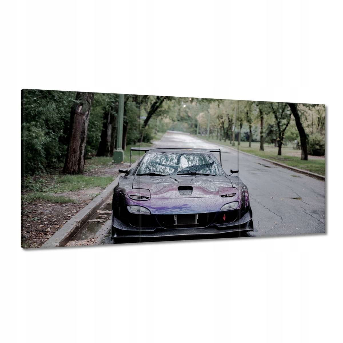 Obrazy 180x90 Auto Fura Sport