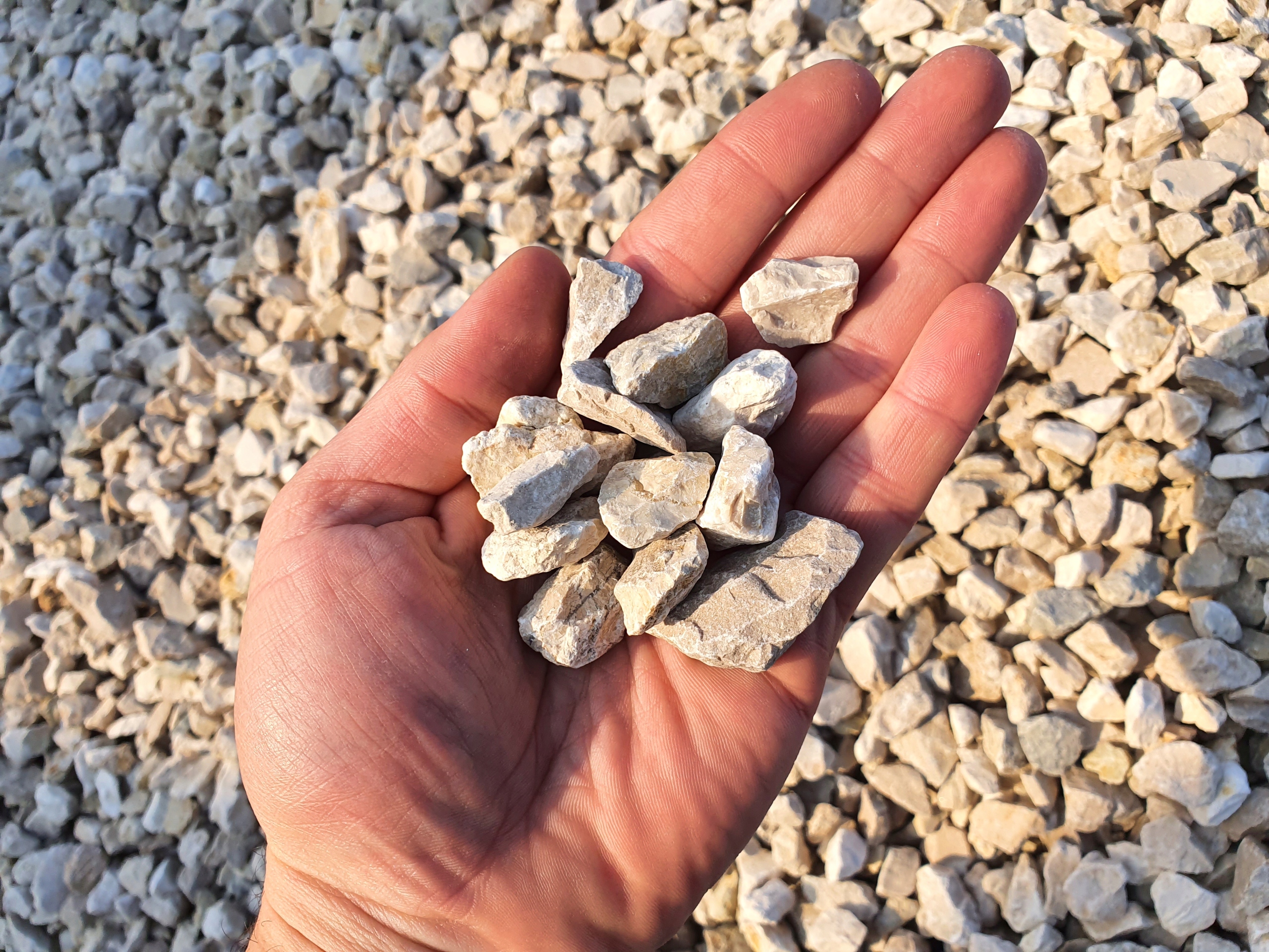 Grys Żwir Wapienny Kremowy 8-16 Kamień do Ogrodu