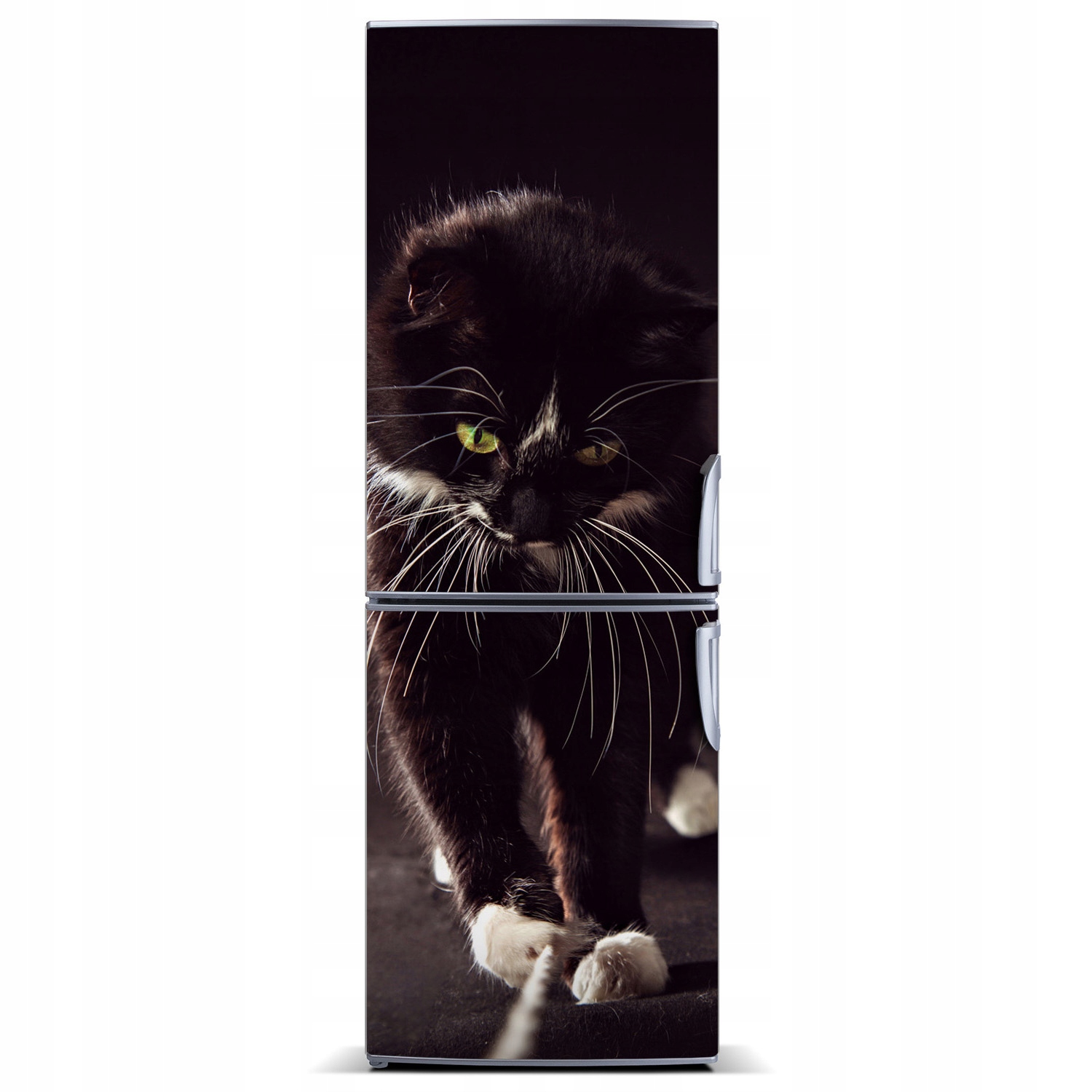 

Mata magnetyczna na lodówkę Czarny kot 60x180