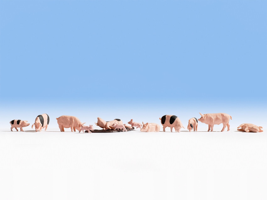 Noch 15712 , Prasata 12 Ks , stupnice Ho