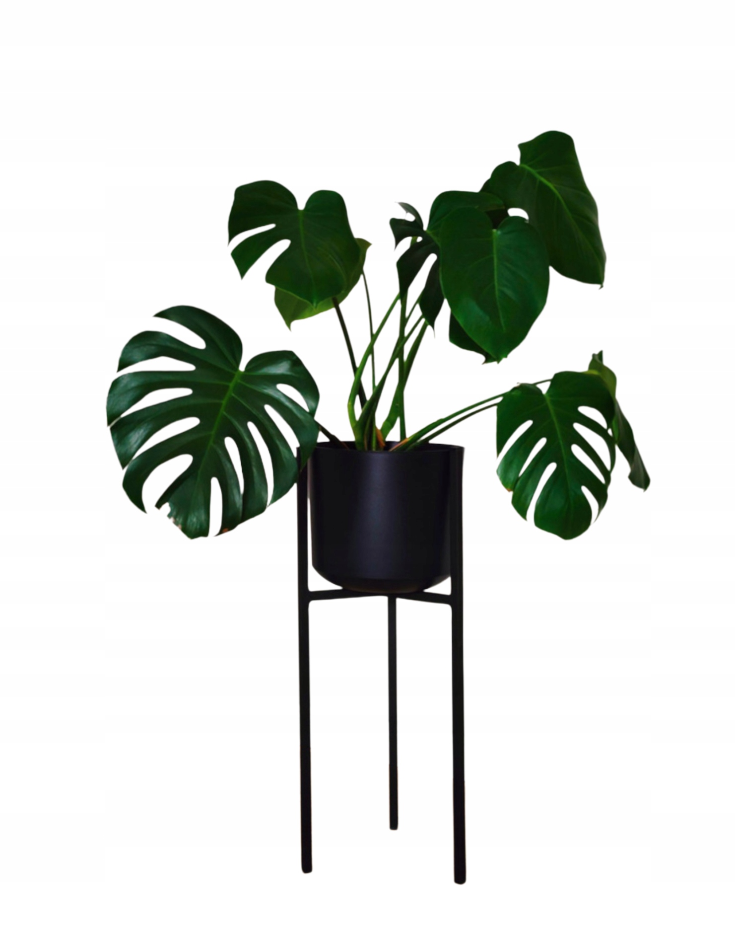 KWIETNIK STOJAK NA KWIATY ROŚLINY Z OSŁONKĄ DONICĄ NOWOCZESNY WYSOKI 61CM