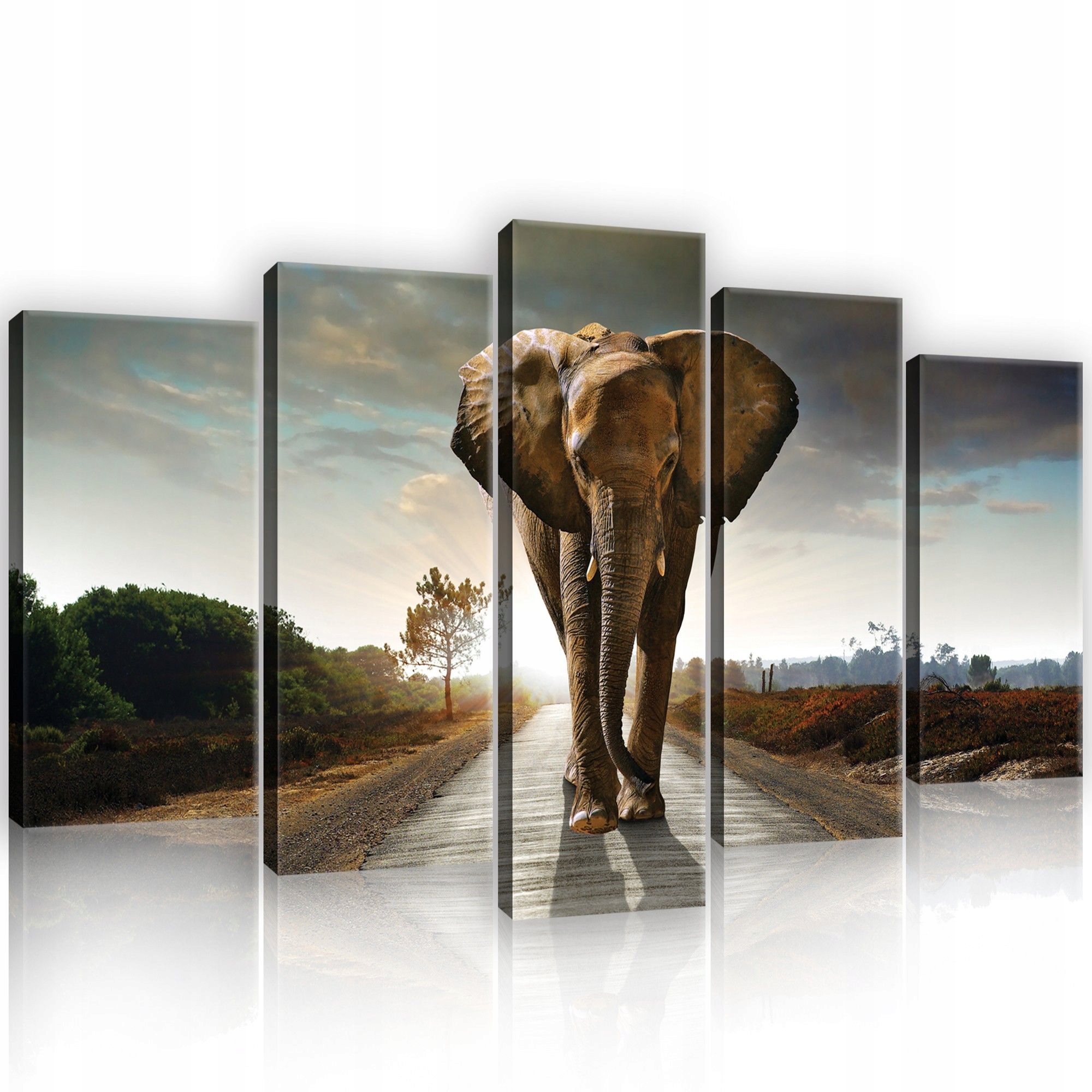 Obraz 100x60 Slon africký savana příroda západ slunce dekorace na zeď