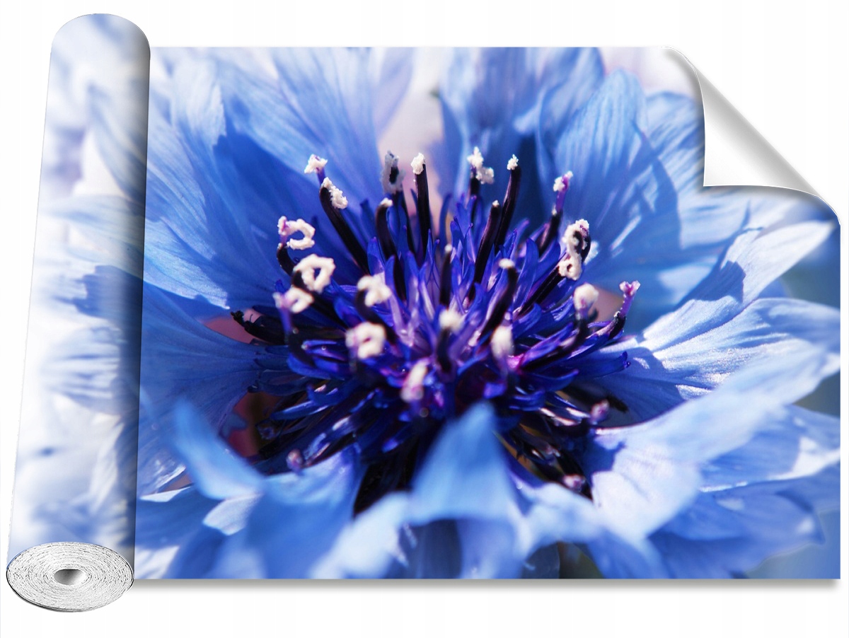 

Tapeta Samoprzylepna Chaber Niebieski - 416x254