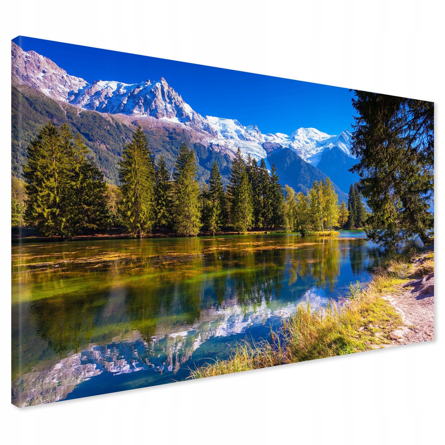 

Obraz na płótnie góry jezioro las 100x70